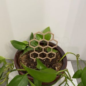 Honeycomb House Plant Trellis