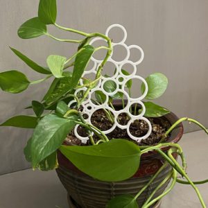 Bubble House Plant Trellis
