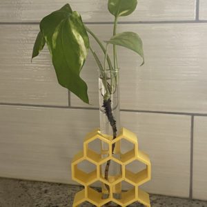 Honeycomb Plant Propagation Jar/Test Tube