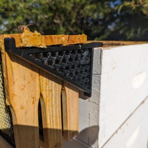 Beehive Frame Holder Set (Pair)